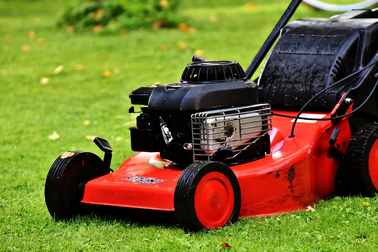 Application AI analyse sol pour jardinage.